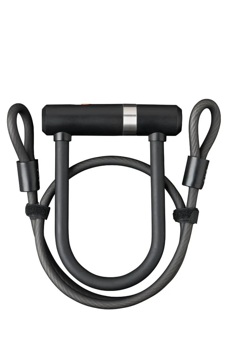 AXA Newton Mini Pro + Cable 100/10